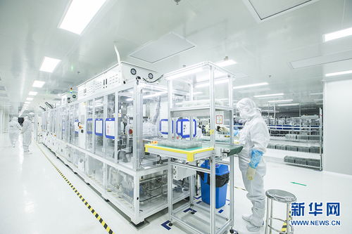 聚焦高質(zhì)量發(fā)展 | 芯光燦爛，點亮黃石老工業(yè)基地轉(zhuǎn)型之路