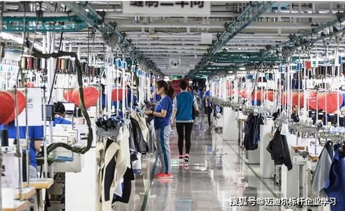 參觀紅嶺集團,學習紅嶺互聯網工業4.0模式